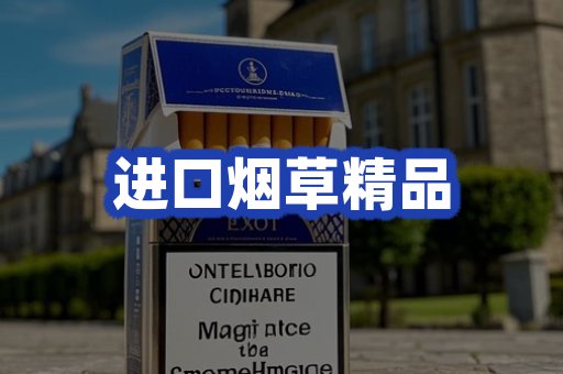 进口烟草产品